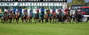 turf-courses-hippiques
