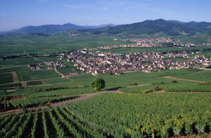 Alsace en toutes saisons